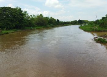 Cabor Dayung Pati Direncanakan diadakan di Juwana