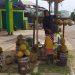 BERJUALAN: Pedagang durian Ngabul sedang menjajakan durian.
Pedagang Durian Padati Trotoar dan Pasar(Lingkar Network I Harianmuria.com )