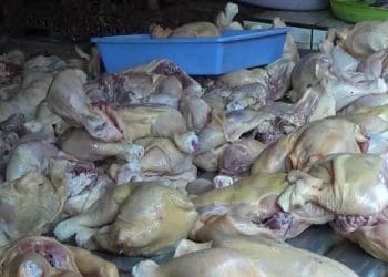 Jelang Lebaran, Harga Daging Ayam di Pati Alami Kenaikan