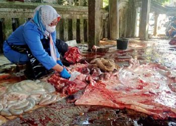 Pemkab-Blora-Pastikan-Daging-Kurban-Aman-Dikonsumsi