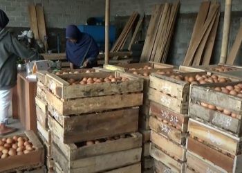 MENERANGKAN: Seorang distributor telur di salah salah satu pasar tradisional sedang melayani konsumen. (Arif Febriyanto/Harianmuria.com)