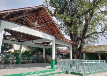 Makam Ki Joko Bambang Pengalasan yang berada di samping Masjid Desa Plangitan, yang direncanakan oleh Kades untuk menjadi wisata religi dalam beberapa tahun ke depan. (Arif Febriyanto/Harianmuria.com)