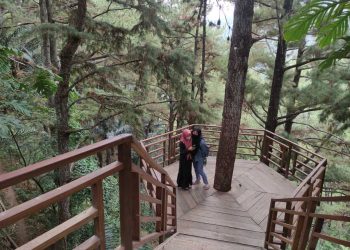 ASIK: Pengunjung saat sedang berfoto di spot Jembatan Pinus yang ada di Pijar Park baru-baru ini. (Nisa Hafizhotus Syarifa/Harianmuria.com)