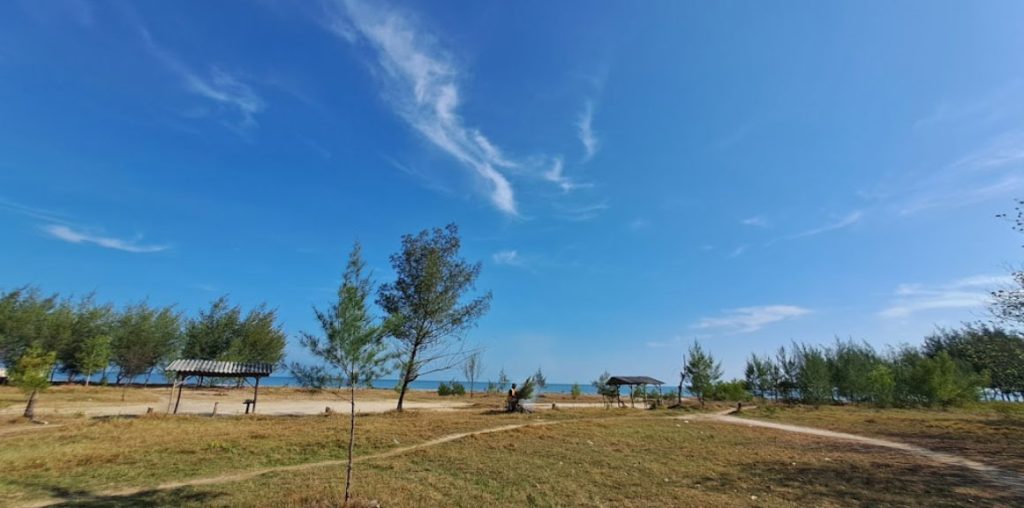 10 Rekomendasi Pantai Eksotis di Rembang dengan Pemandangan Pohon Cemara yang Rimbun