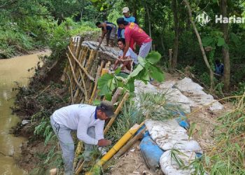 GOTONG ROYONG: Warga Desa Ketitangwetan, Kecamatan Batangan bekerja sama memperbaiki tanggul jebol dengan alat seadanya, Selasa (15/11). (Istimewa/Harianmuria.com)