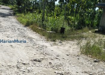 Kondisi jalan alternatif di Desa Ngrambitan Kecamatan Japah Kabupaten Blora yang rusah dan belum pernah diperbaiki. (Muhammad Eko/Harianmuria.com)