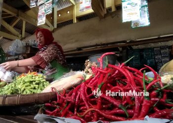 BERDAGANG: Salah seorang pedagang menggelar dagangannya di Pasar Ratu Jepara. (Aziz Afifi/Harianmuria.com)