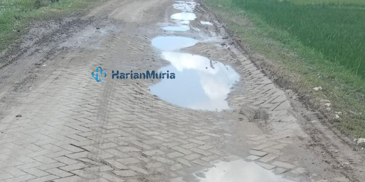 Potret jalan rusak yang pernah dilewati iring-iringan Presiden Jokowi saat melakukan kunjungan di Blora. (Hanafi/Harianmuria.com)