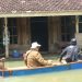 Petugas Pantarlih saat mendata coklit di rumah warga yang terendam banjir. (Istimewa/Harianmuria.com)