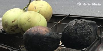 Kelapa bakar. (Instagram @memo_bali/Harianmuria.com)