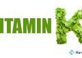 Penelitian Baru Ungkap Vitamin K Mampu Cegah Diabetes, Ini Penjelasannya - Harianmuria Ilustrasi Vitamin K. (Gambar Diolah/Harianmuria.com)