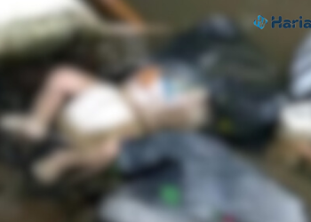 Bayi yang ditemukan dalam keadaan sudah meninggal. (Istimewa/Harianmuria com)