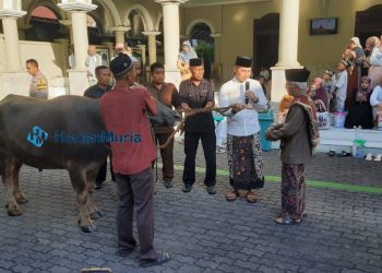 BERKURBAN: Bupati Kudus, M. Hartopo (pegang microphone) menyerahkan kerbau kepada panitia kurban pada Kamis, 29 Juni 2023. (Istimewa/Harianmuria.com)