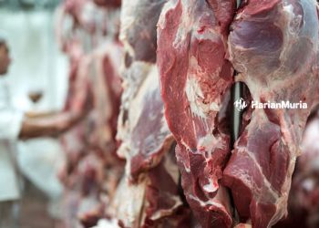 Ilustrasi daging kurban. (Freepik/Harianmuria.com)