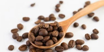 Ilustrasi biji kopi. (Freepik/Harianmuria.com)