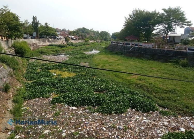 Cegah Banjir, DPRD Kudus Dorong Pemkab Rutin Lakukan Normalisasi Berkala Sungai Gelis
