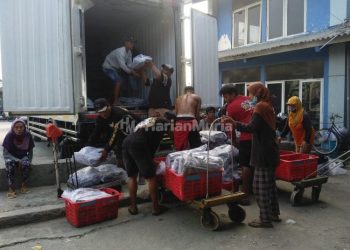 Aktivitas pengangkut ikan hasil tangkapan nelayan Juwana di Cold Storage
