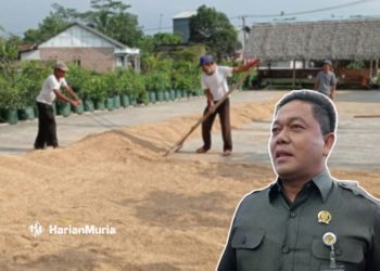 Ketua Dewan Perwakilan Rakyat Daerah (DPRD) Kabupaten Pati Ali Badrudin. (Dok. Harianmuria.com)