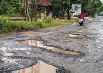 Dewan Pati Berencana Sidak Jalan Rusak yang Dikeluhkan Warga - Harianmuria RUSAK PARAH: Kondisi jalan Gabus-Tambakromo memperihatinkan pasca dihantam banjir belum lama ini. (Arif Febriyanto/Harianmuria.com)