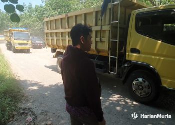 Sejumlah truk dump saat melintas di jalur Tayu-Puncel. (Dok. Harianmuria.com)