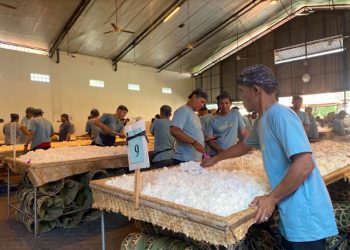 Panitia Buka Luwur Sunan Kudus menyiapkan 40 ribu nasi bungkus yang akan dibagikan besok. (Mohammad Fahtur Rohman/Harianmuria.com)