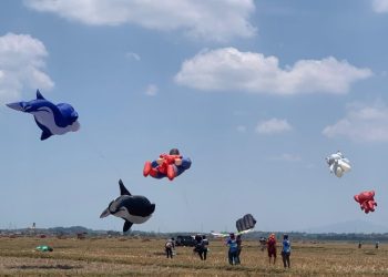 Gaet Wisatawan, Pemkab Jepara akan Gelar Festival Layang-layang Jilid IV - Harianmuria Gaet Wisatawan, Pemkab Jepara akan Gelar Festival Layang-layang Jilid IV