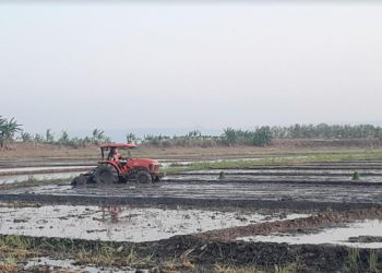 Masuk MT III, DPRD Pati Minta Dispertan Jamin Ketersediaan Pupuk Subsidi
