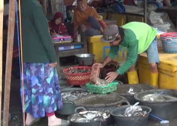 Komitmen Sejahterakan Nelayan, DPRD Pati Dorong Stabilitas Harga Ikan Laut