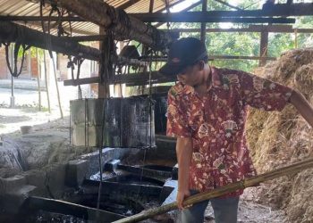 Kualitas Tebu Menurun, Produksi Gula Merah di Kudus Tak Maksimal saat Musim Hujan