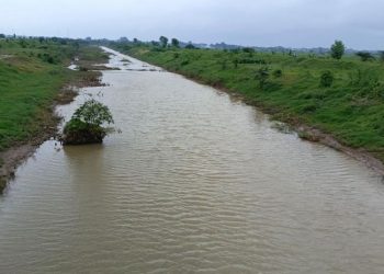 Kondisi debit air di sungai SWD I yang masih normal dan aman. (Muhammad Aminudin/Harianmuria.com)