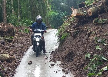 Seorang pengendara tampak sangat berhati-hati saati melewati jalan yang terdampak longsor di Kabupaten Semarang, Jawa Tengah pada Selasa, 21 Januari 2025. (Hesty Imaniar | Harianmuria.com)