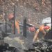 Petugas pemadam kebakaran masih memadamkan bara api yang menyala di sela bangunan kios blok D Pasar Induk Cepu yang terbakar pada Minggu, 26 Januari 2025. (Harianmuria.com)