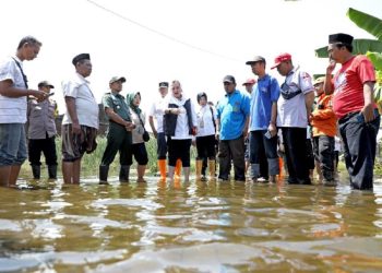 Wali Kota Semarang Hevearita Gunaryanti Rahayu saat meninjau banjir di wilayah Kudu, Semarang, Rabu (5/2). (Anta | Harianmuria.com)