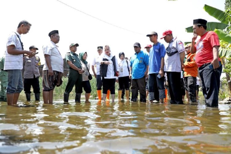 Wali Kota Semarang Hevearita Gunaryanti Rahayu saat meninjau banjir di wilayah Kudu, Semarang, Rabu (5/2). (Anta | Harianmuria.com)