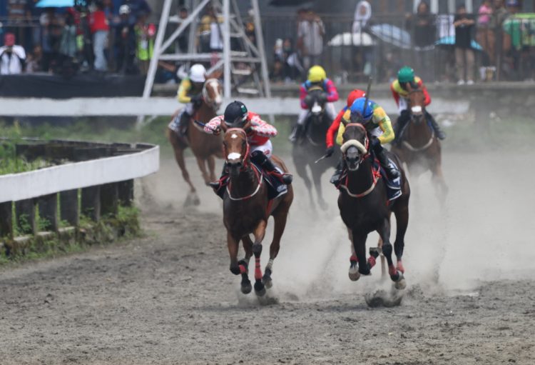 Ajang Pacuan Kuda Jateng Derby 2025 Picu Adrenalin Ribuan Penonton - Harianmuria Para joki bersaing memacu kuda mereka di ajang Jateng Derby 2025. (Hesty Imaniar/Harianmuria.com)