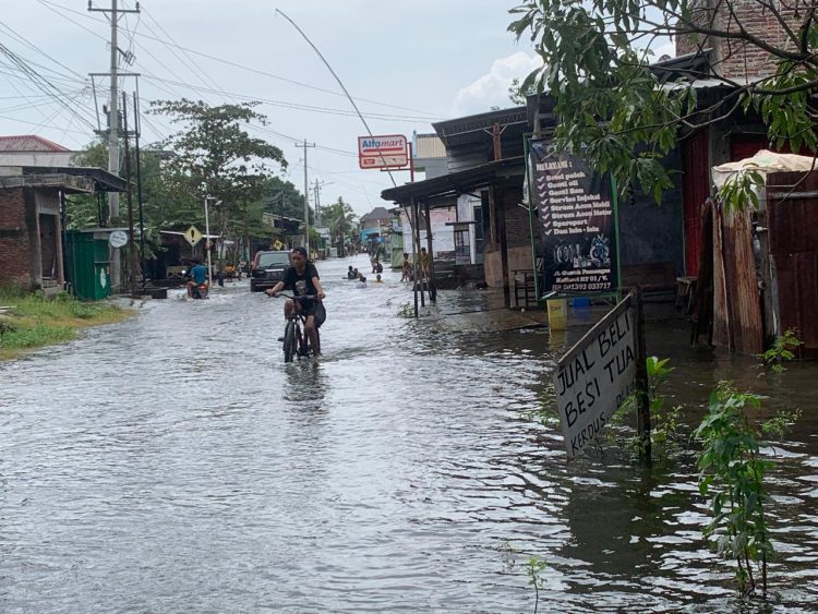 Kondisi akses jalan dan rumah warga di Desa Kalisari Sayung yang terdampak banjir, baru baru ini. (Burhan Aslam/harianmuria.com)