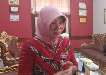 Kepala DPMPTSP Jateng Sakina Rosellasari. (Rizky S/Harianmuria.com)