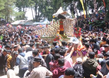 Warga Kabupaten Pekalongan memperebutkan Gunungan Syawalan berisi hasil bumi dan makanan khas daerah. (Fahri Akbar/Harianmuria.com)