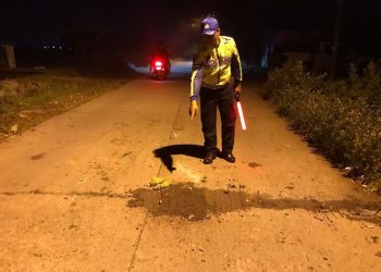 Petugas kepolisian saat melakukan olah TKP kecelakaan adu banteng dua sepeda motor di Kalinyamatan, Jepara. (Dok. Polres Jepara/Harianmuria.com)