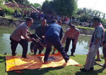 Proses evakuasi jenazah yang ditemukan mengambang di tanggul di Dusun Ledok, Wirosari, Grobogan. (Dok. Polsek Wirosari/Harianmuria.com)