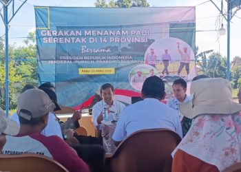 Kegiatan Gerakan Tanam Padi Serentak di Desa Sidigede, Kecamatan Welahan, Kabupaten Jepara, Rabu (23/4/2025). (Tomi Budianto/Harianmuria.com)
