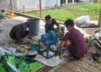 Warga Kelurahan Padukuhan Kraton mencacah eceng gondok untuk dijadikan kompos sebagai media tanam urban farming. (Fahri Akbar/Harianmuria.com)