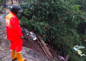 Petugas BPBD Kota Salatiga melihat kondisi tabah longsor di Perum Residence RT 03 RW 05 Kelurahan Tegalrejo, Kecamatan Argomulyo, Minggu (11/52025) sore. (Dok. BPBD Salatiga/Harianmuria.com)