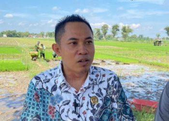 Ketua Komisi B DPRD Pati Muslihan. (Febriyanto/Harianmuria.com)