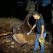 Anggota Polsek Kajen melakukan olah tempat kejadian perkara (TKP) di area Pabrik Tripleks PT Kayu Alam Lestari usai kebakaran. (Dok. Polsek Kajen/Harianmuria.com)