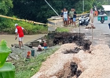 Talut jembatan penghubung antara Desa Sumber dan Desa Mendenrejo di Kecamatan Kradenan, Blora ambrol setelah diterjang banjir bandang pada Senin (19/5/2025) malam. (Hanafi/Harianmuria.com)