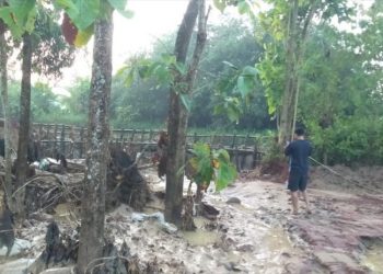 Kondisi di sekitar Jalan Tambakromo–Gabus yang sempat terendam banjir akibat luapan Sungai Godo. (Dok. Humas Kecamatan Tambakromo/Harianmuria.com)