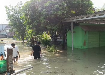 Banjir menggenangi Desa Tanggirejo di Kabupaten Grobogan pada Rabu, 18 Juni 2025 setelah hujan semalaman. (Ahmad Abror/Harianmuria.com)