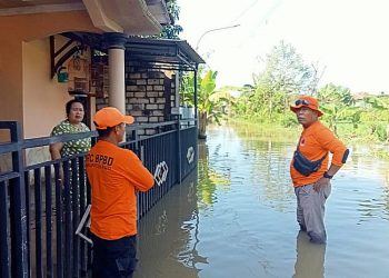 Tim Badan Penanggulangan Bencana Daerah (BPBD) Kabupaten Pati meninjau banjir rob di Desa Tunggulsari, Kecamatan Tayu pada Rabu, 18 Juni 2025. (Dok. BPBD Pati/Harianmuria.com)