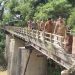 Bupati Blora Arief Rohman saat meninjau kondisi Jembatan Temuwoh di Desa Talokwohmojo, Kecamatan Ngawen, Senin, 23 Juni 2025. (Harianmuria.com)